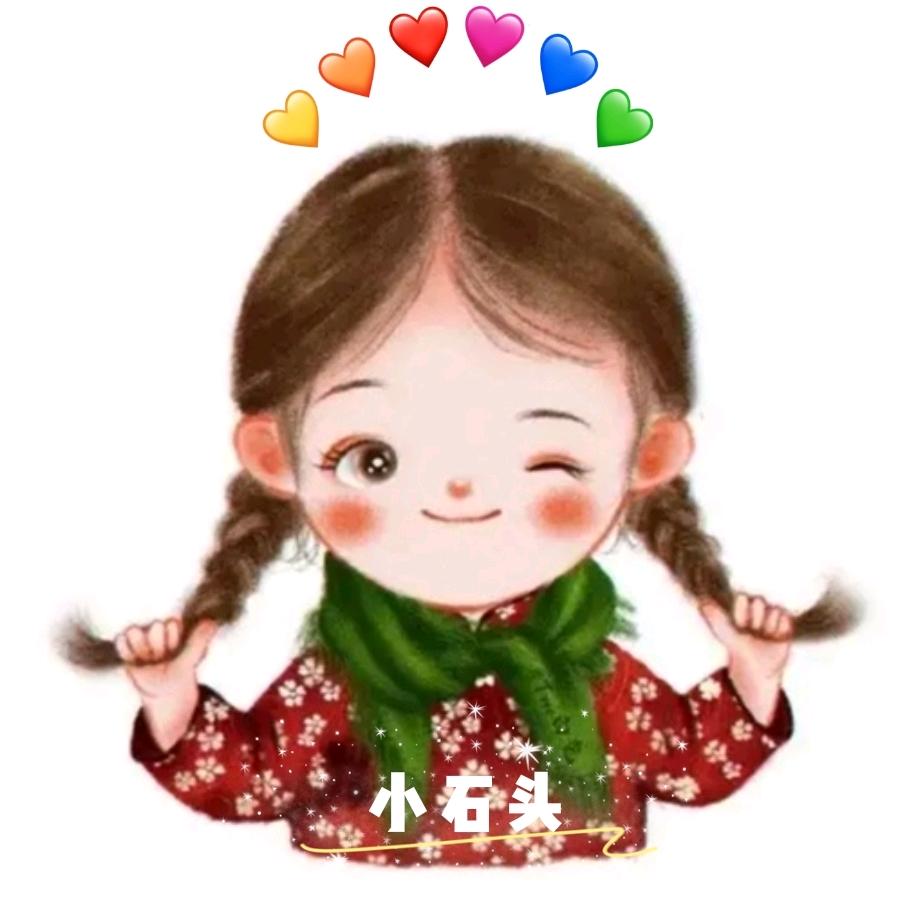 一颗漂泊的石头