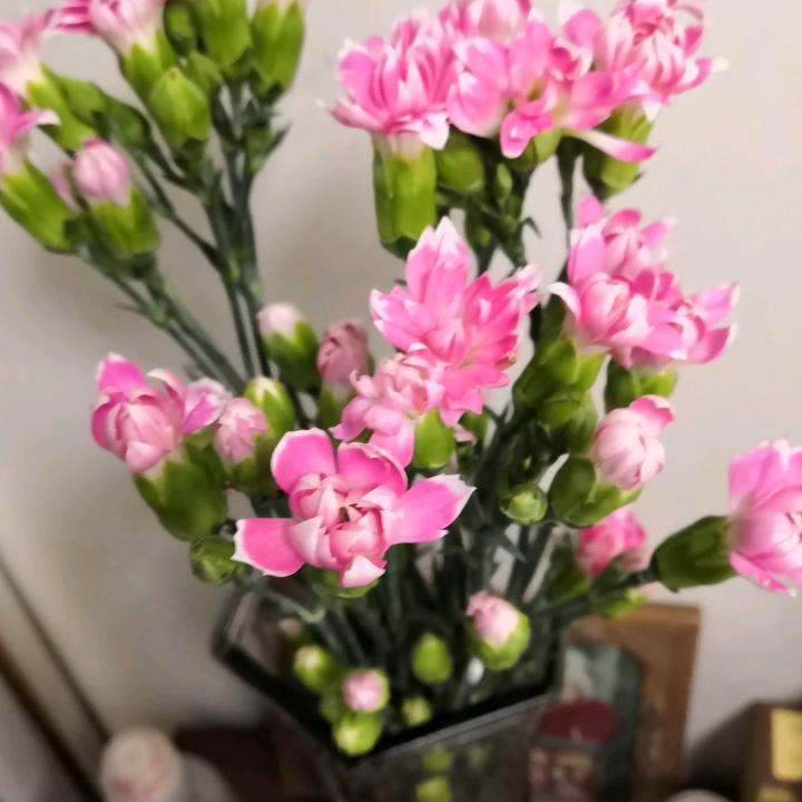 桃子
