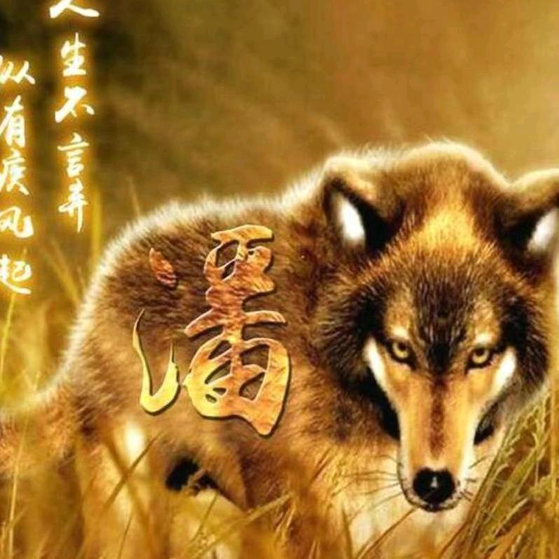 我就这么任性