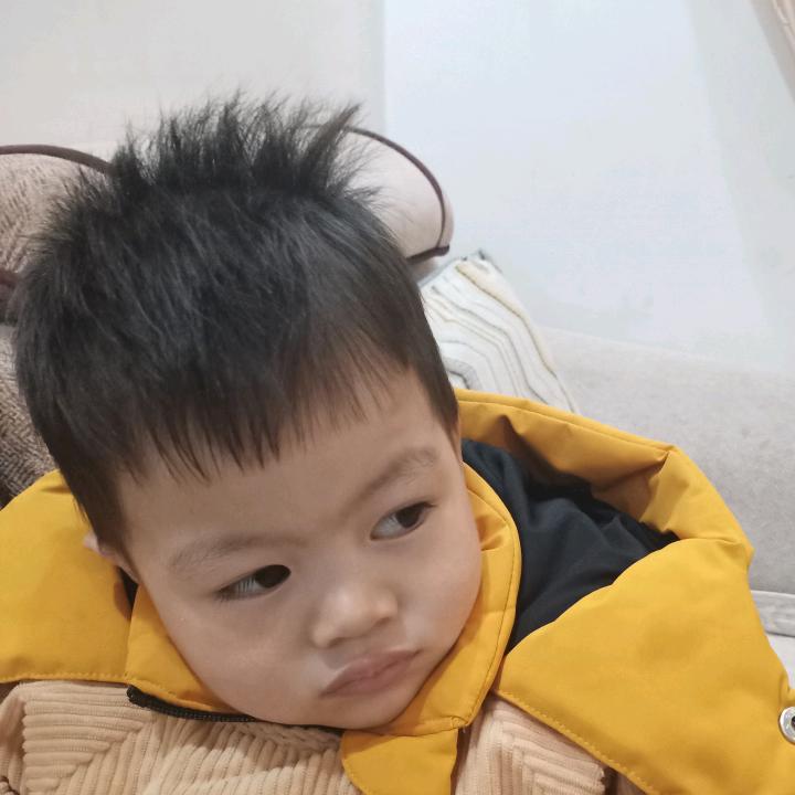 燕子