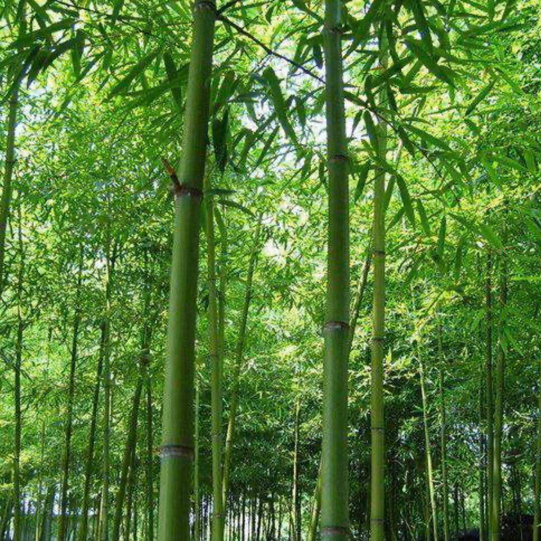 青岛日宇工贸有限公司