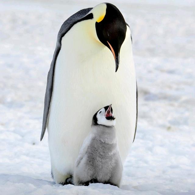 一二三四吴 🤓