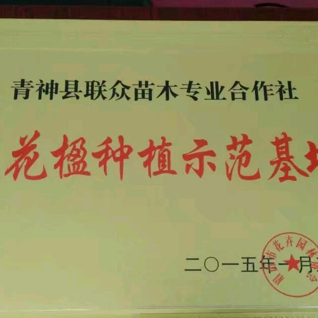青神县联众苗木专业合作社
