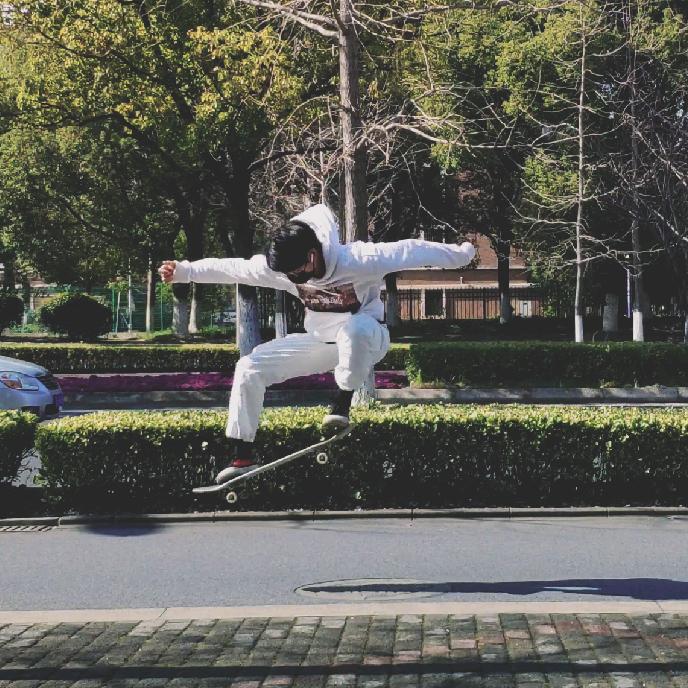 🙈大树
