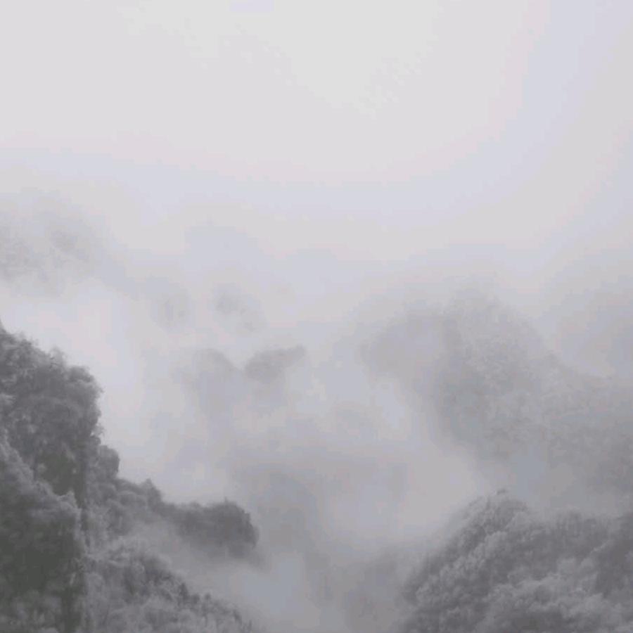 摸金校尉