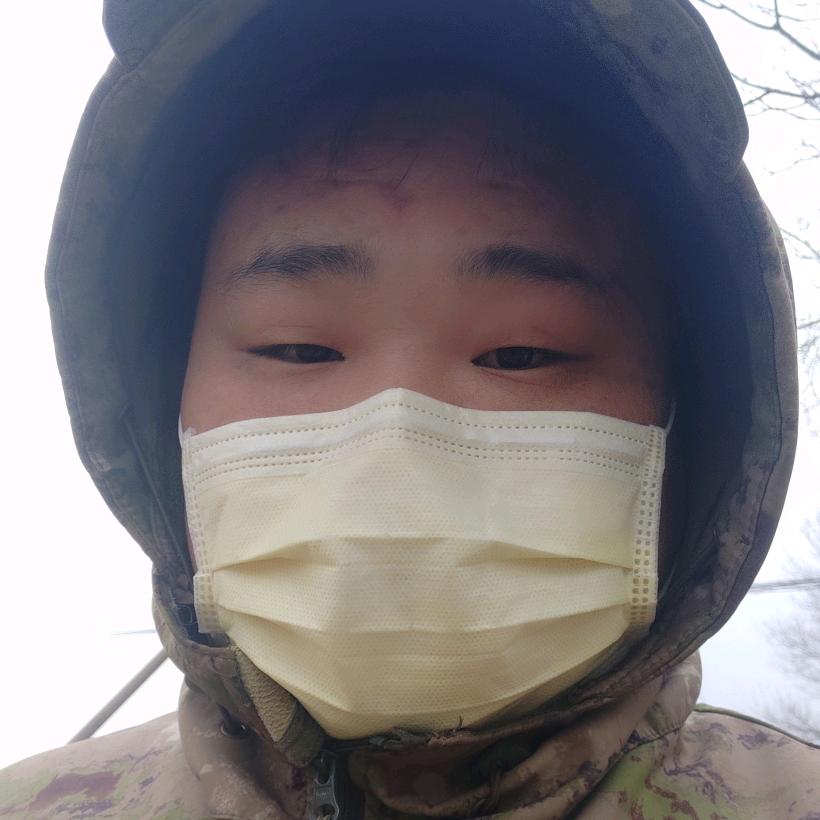 希尔维斯特滑。