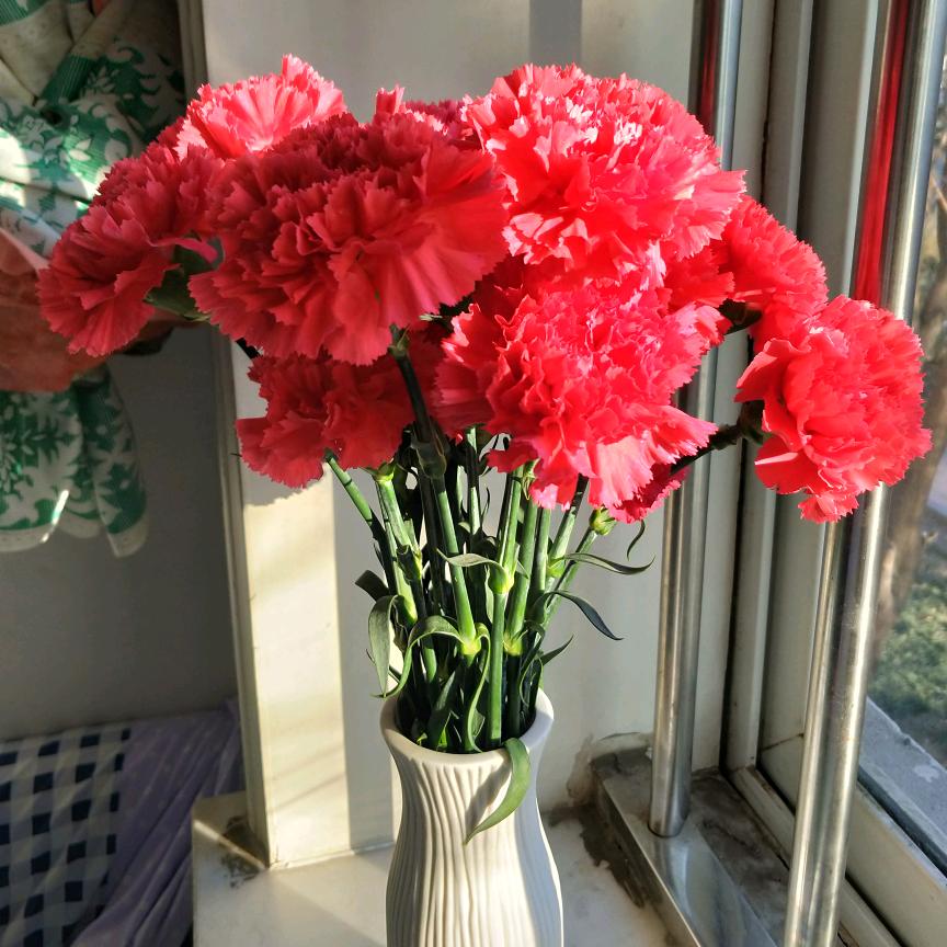腊梅花