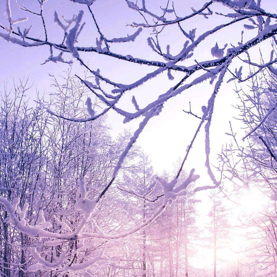 事事顺心，事事如意