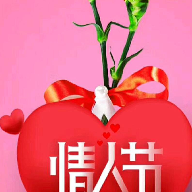 意中人吖6120