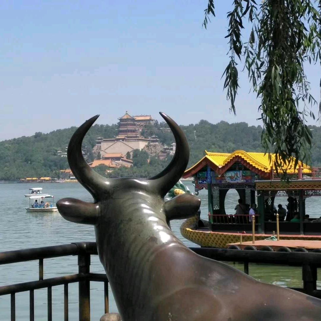 林林总总