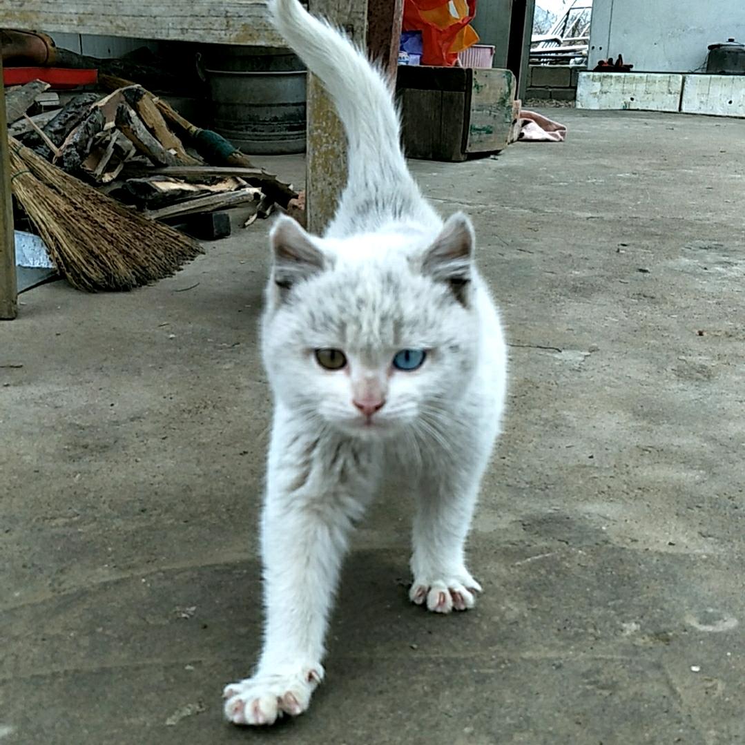 一直单身一直爽吧