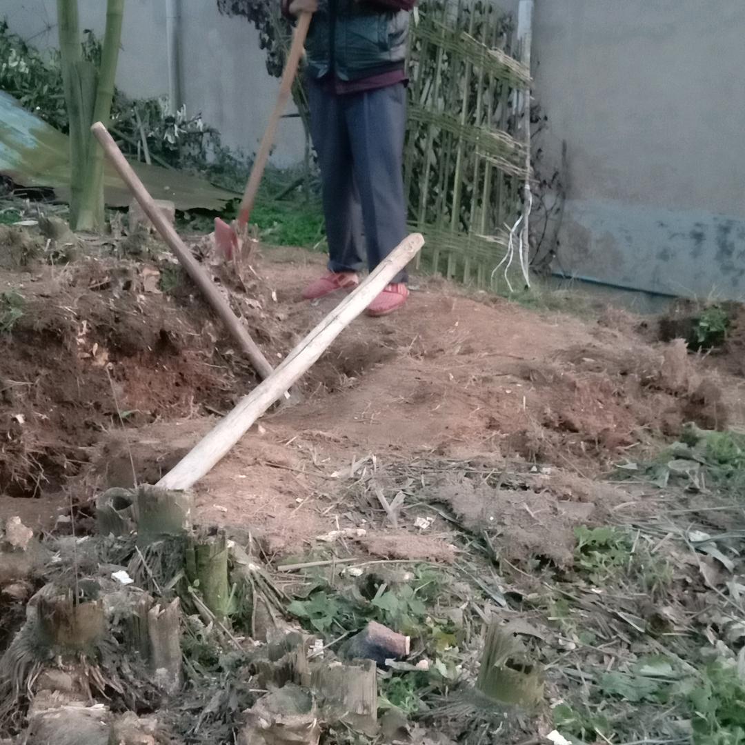 一染成名