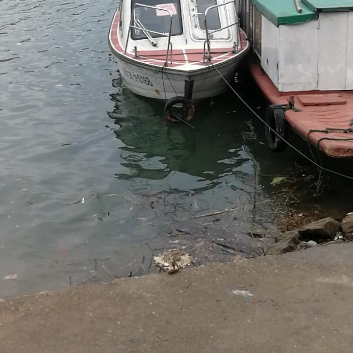 用户1349004933121