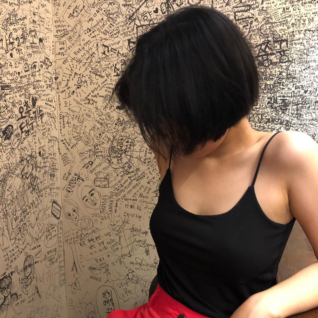 乃菊