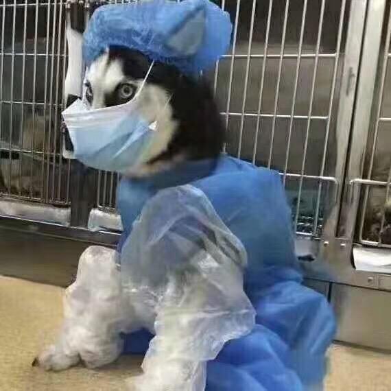 阿斌