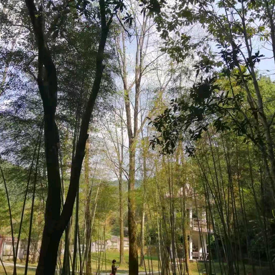 走过的青春