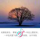 亦如初见
