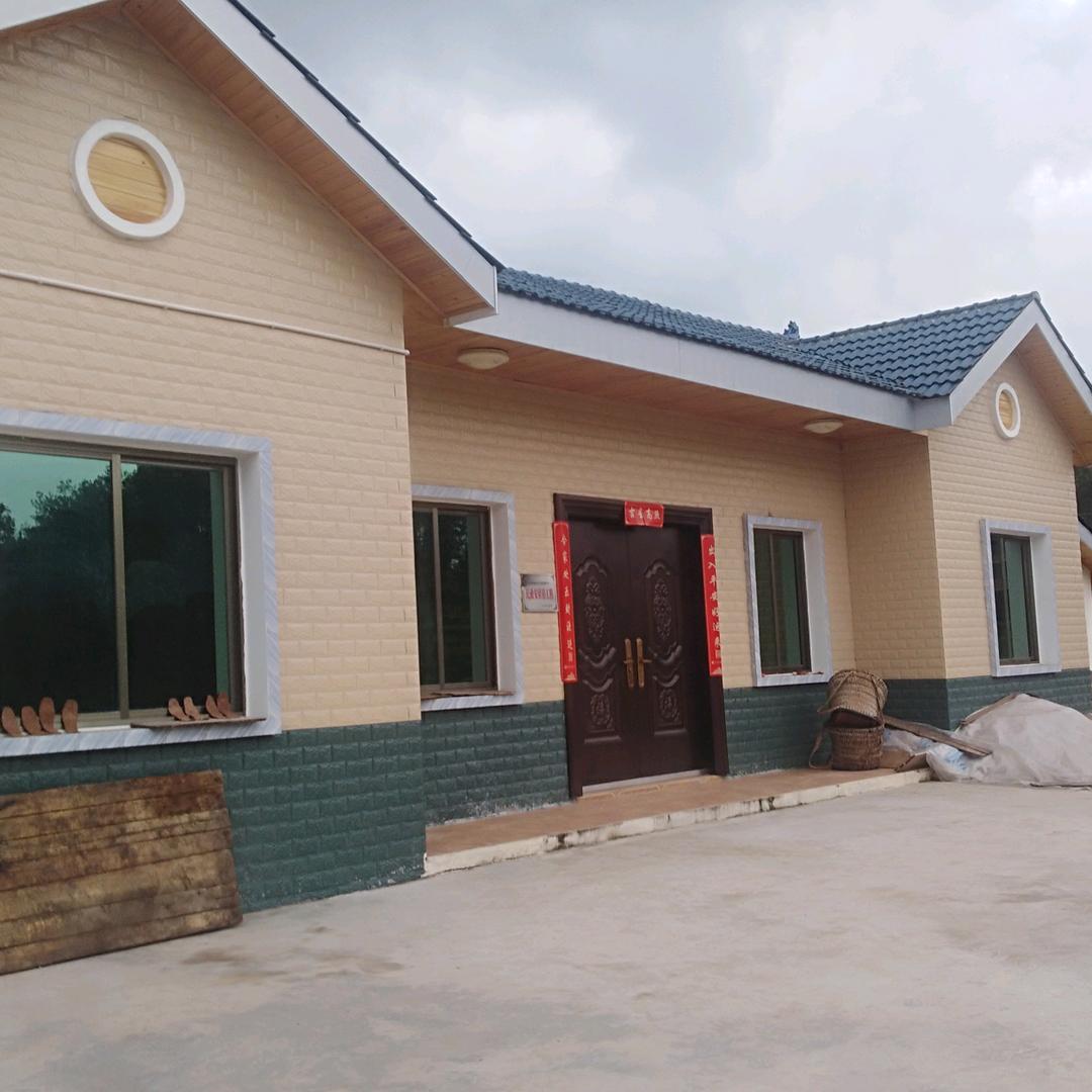 植被小张不定时开播