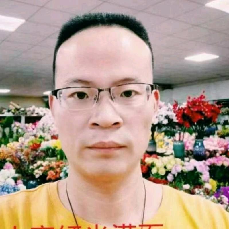 深圳泓光仿真花：洪天坤