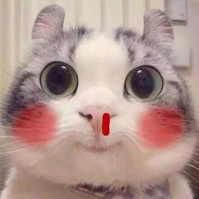 白条终结者