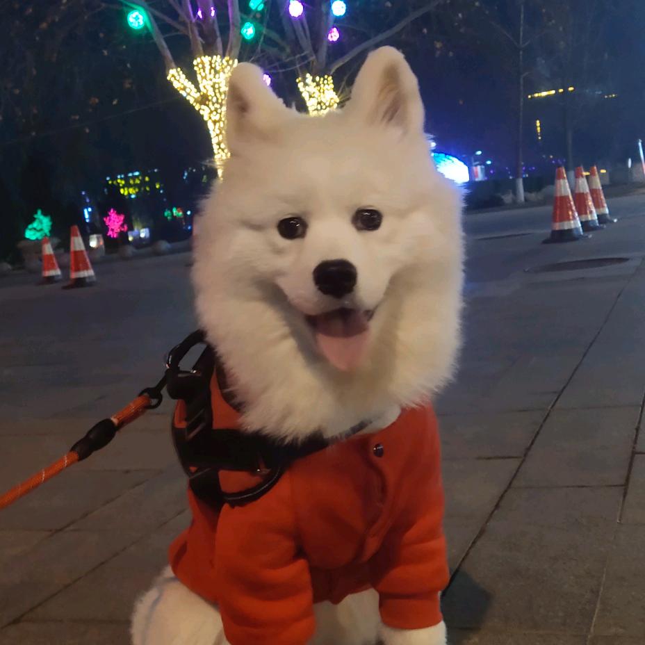 雄县颜王！！！