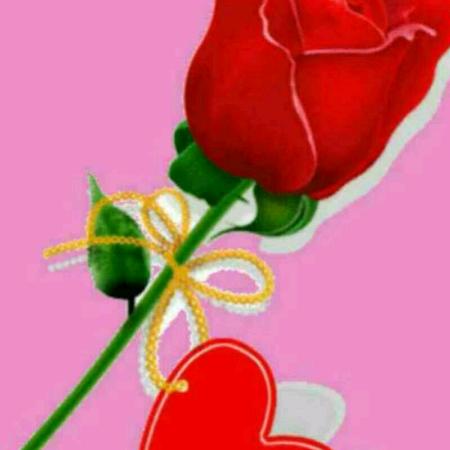 💖岁月如歌💖…（拒绝私聊）