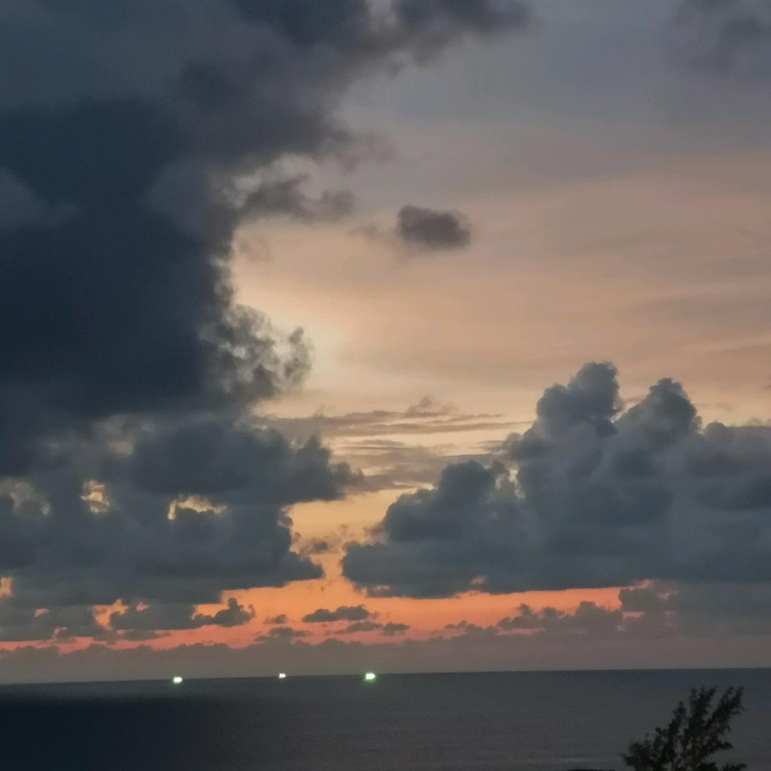 雯宝宝的温先森