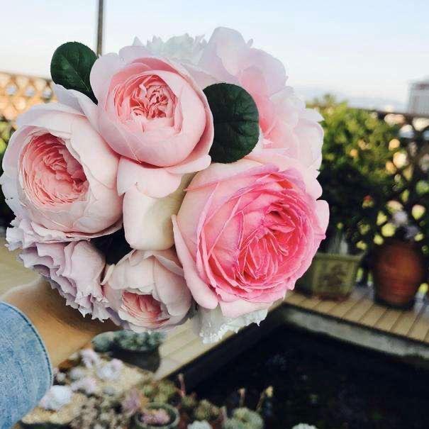 Trip旅游武汉钟家村门店