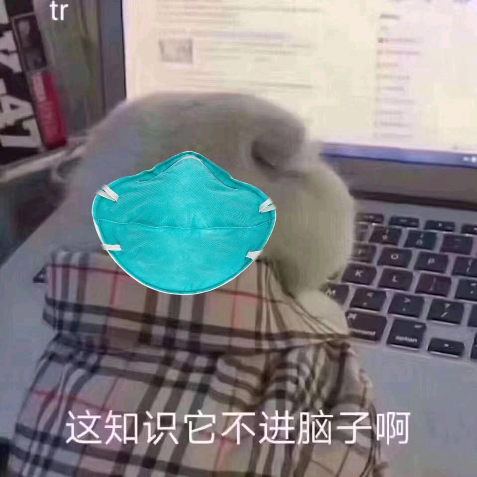 地球是我捏圆的