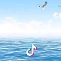海的声音
