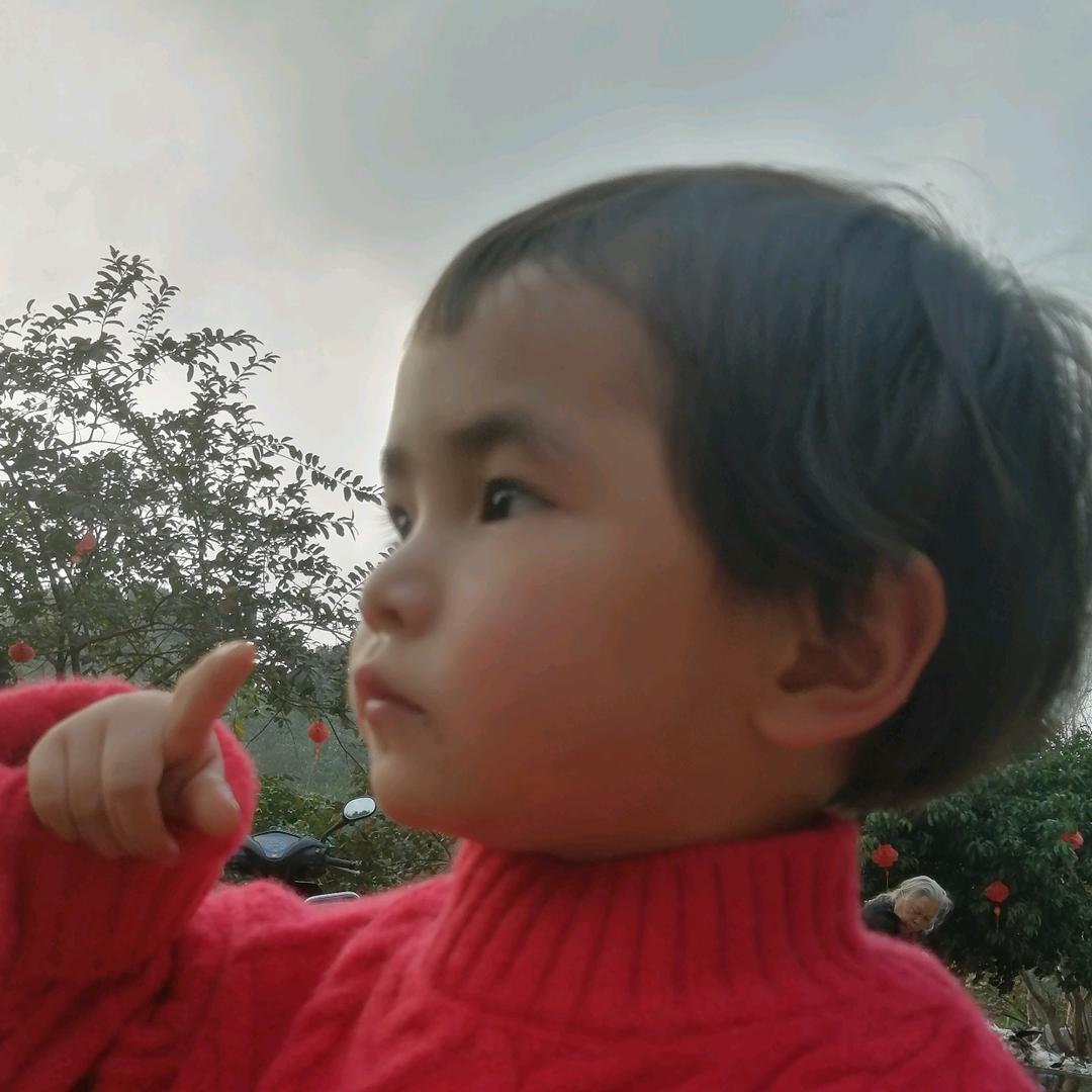 晶晶晶**