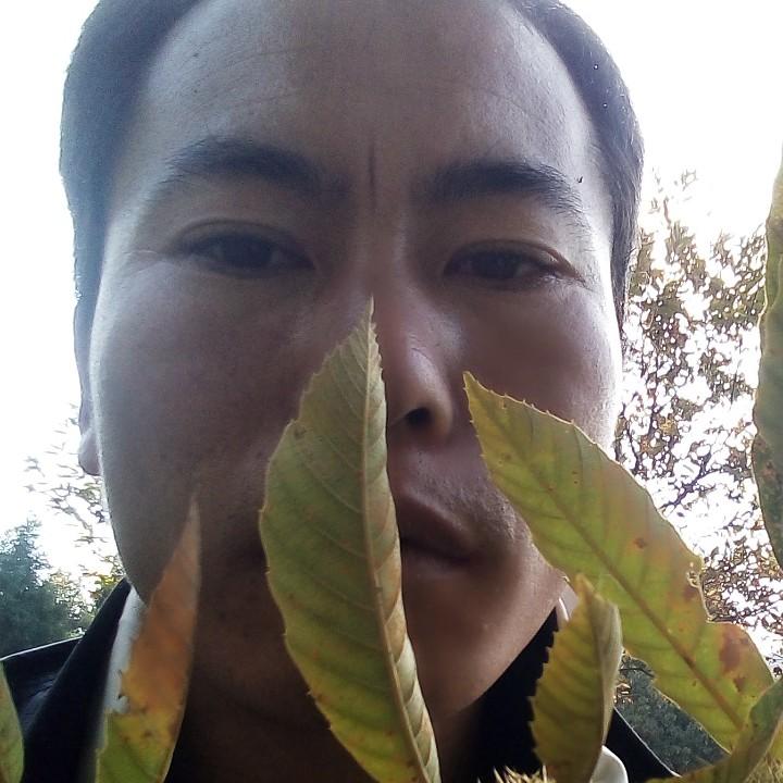 杨刚