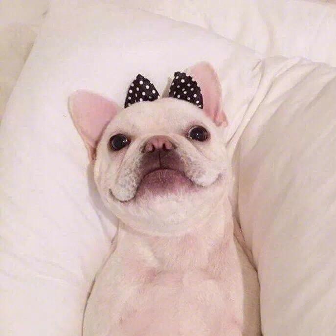 oooooooo