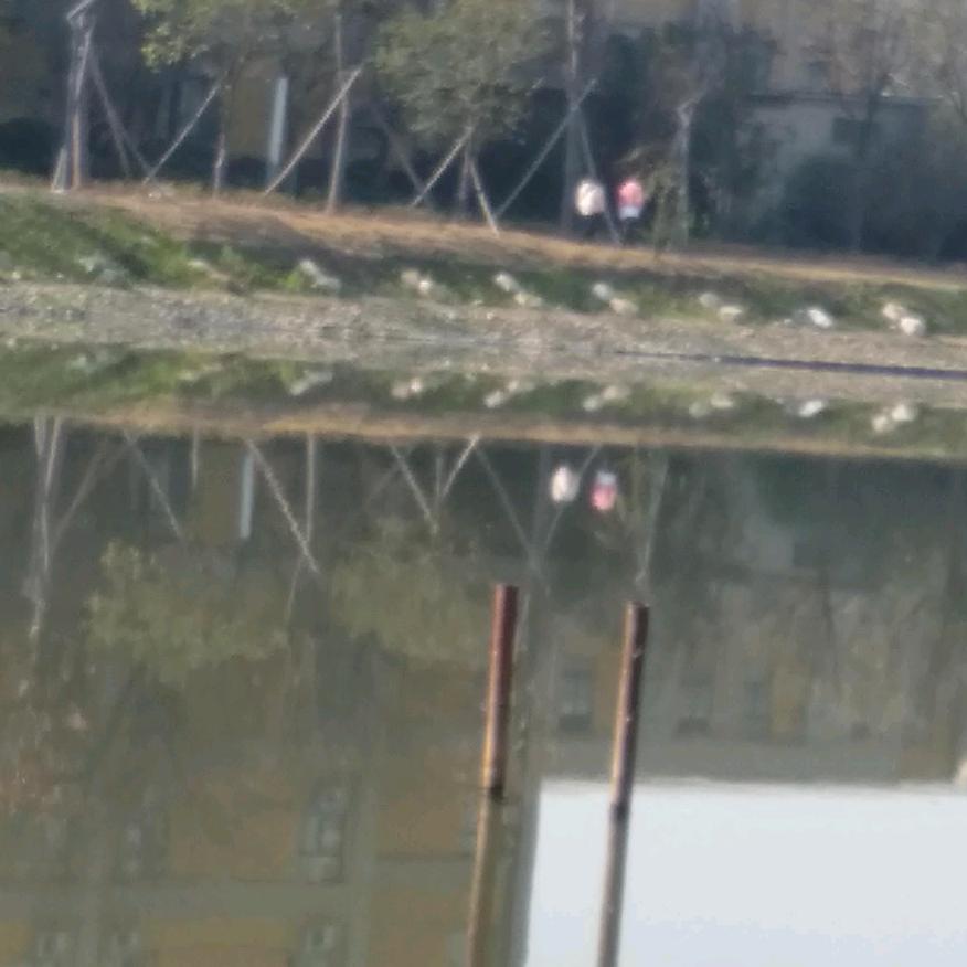 波波