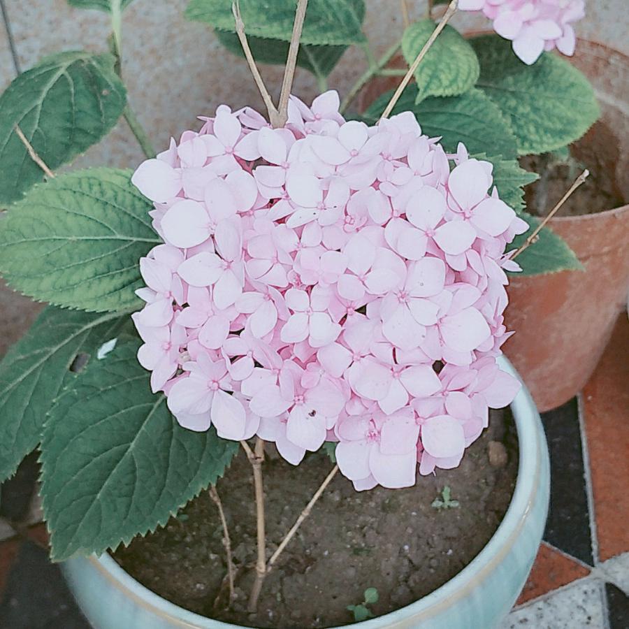 用户5426263051004小狐仙