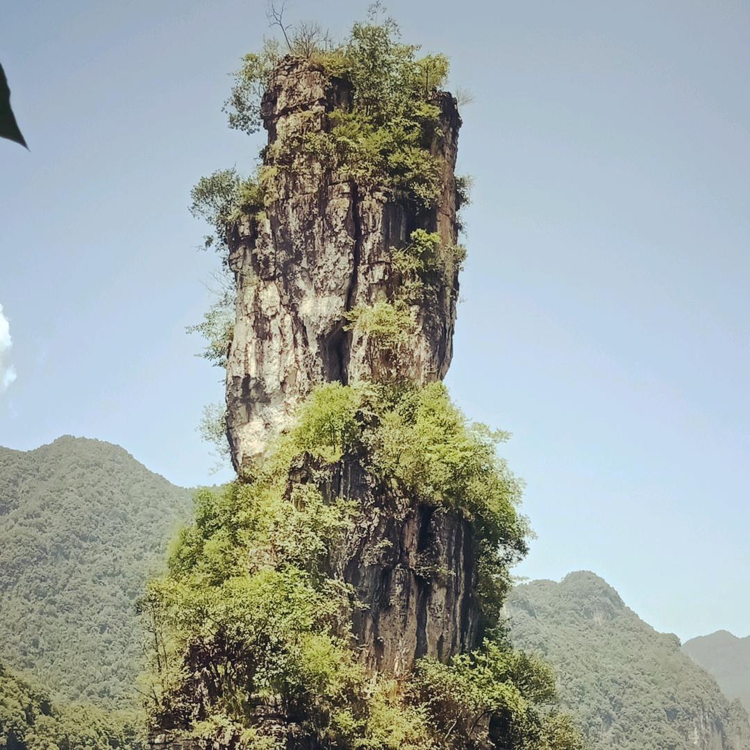 小🐷送煤球