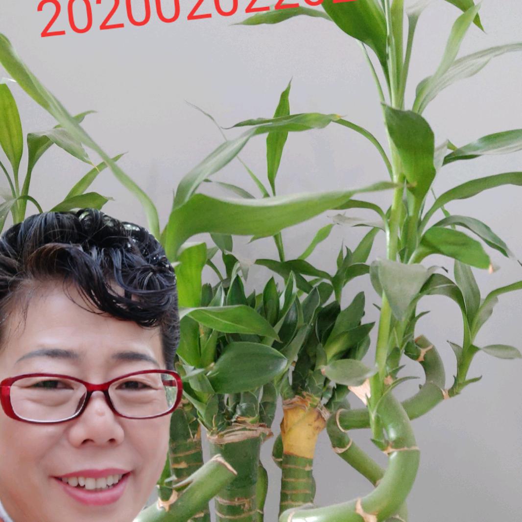 美丽兔子