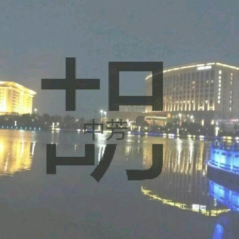中芳