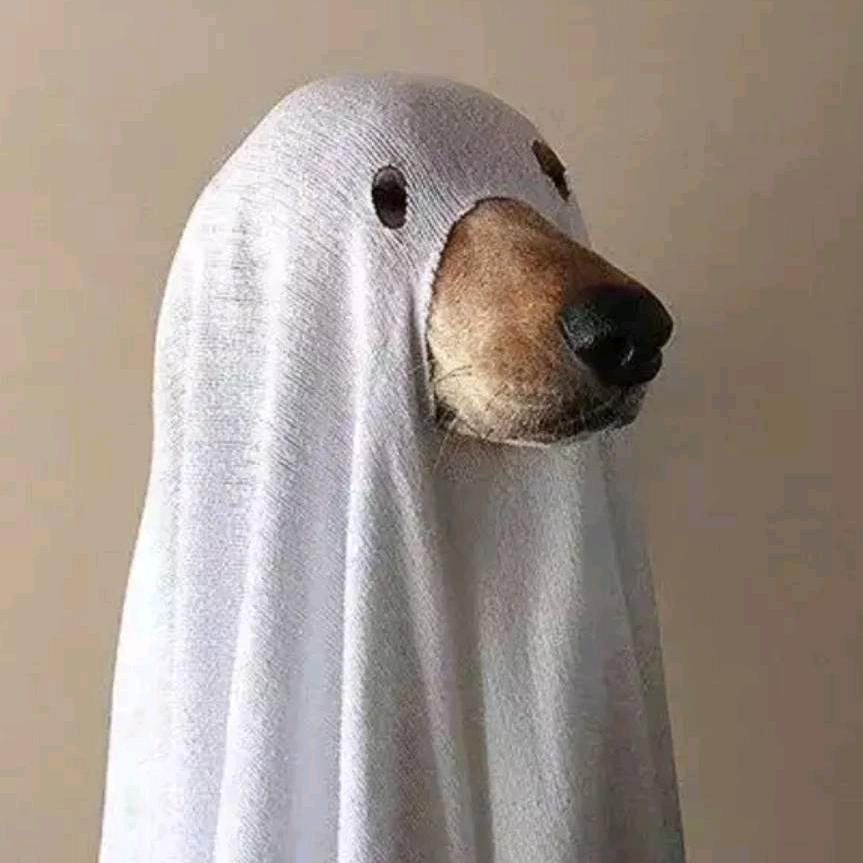 不吃萝卜爱吃肉