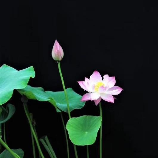 清沐0710