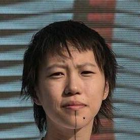 一颗假头