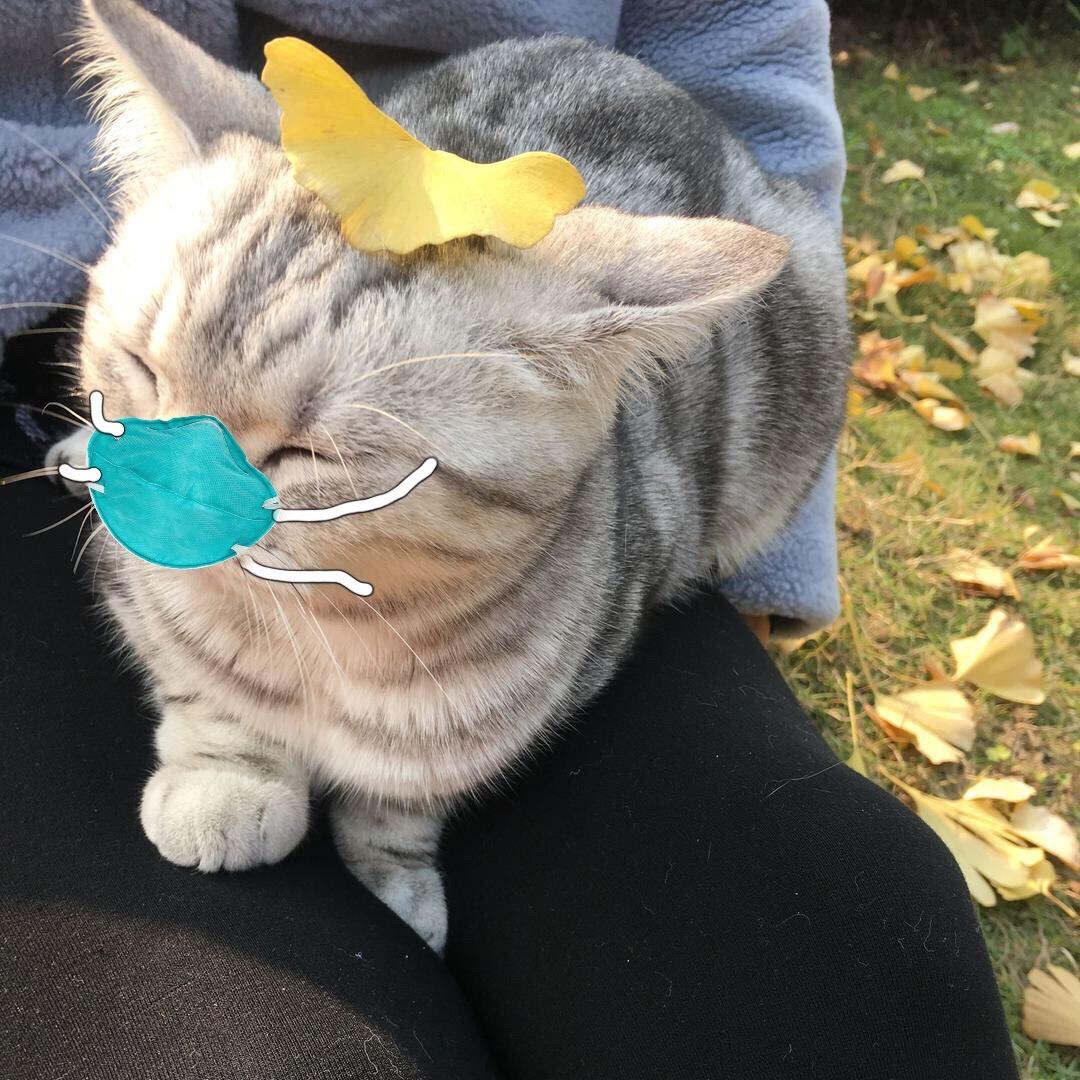 甜🐱🐱