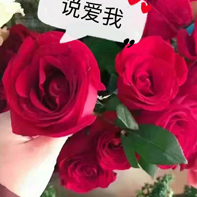 红儿姐姐