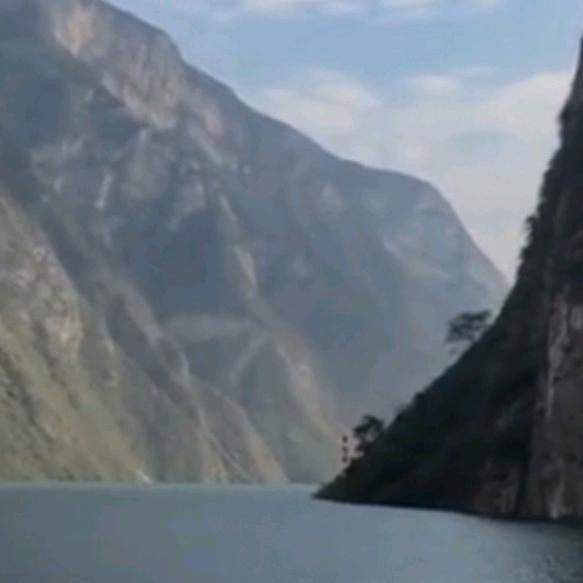 桂贤艺术漆团队