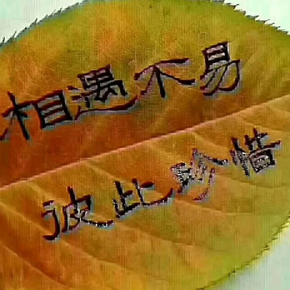 惠质琴心