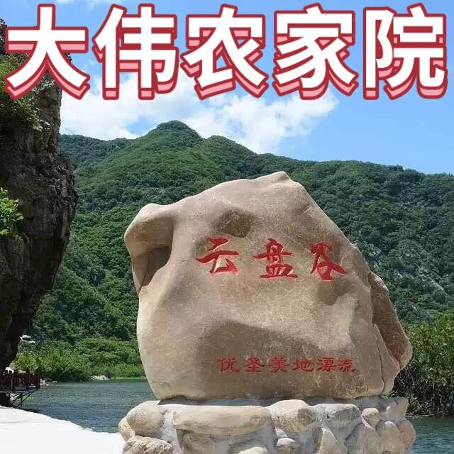 大伟农家宾馆[云盘谷]