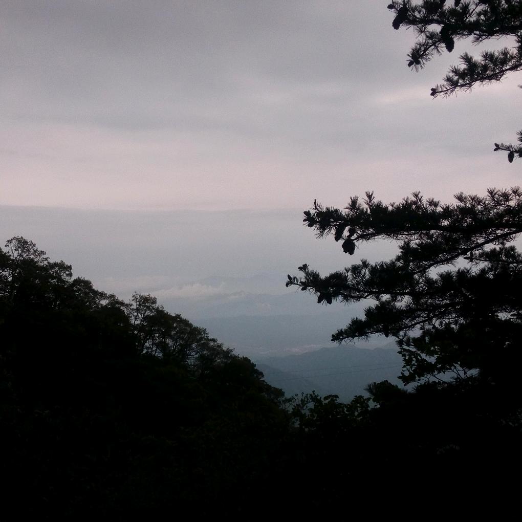 居然是你家