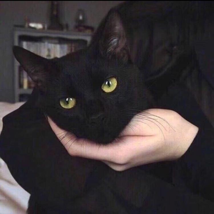 用命赌明天💋
