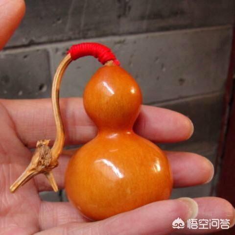 条山孤狼