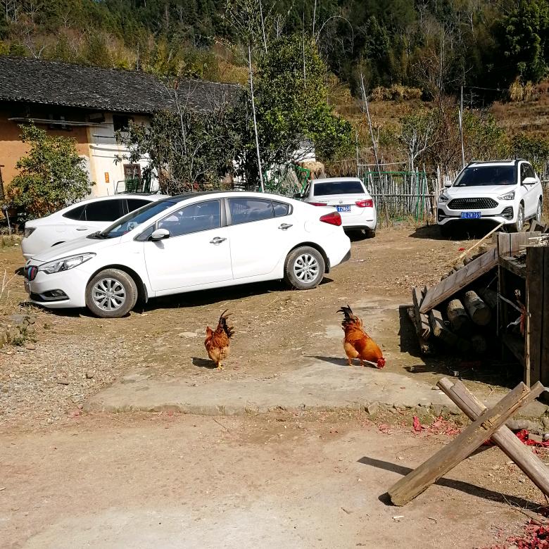 不会钓鱼的钓鱼老